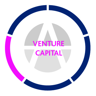 Aldridge - Venture Capital